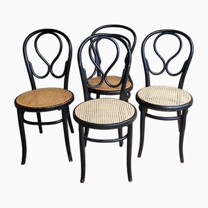 Art Nouveau Chairs in Bent Wood by Michael Thonet, 1890s, Set of 4