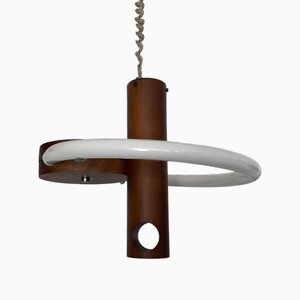 Vintage Suspension Lamp by Angelo Brotto, 1960s