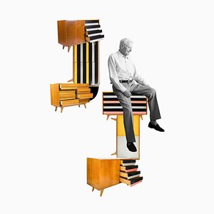 Poster Jiroutek by Michaela Karásek Čejková