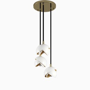 Mandevilla III Pendant Lamp by Creativemary