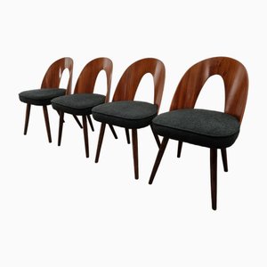 Esszimmerstühle von Antonin Suman, 1960er, 4 . Set