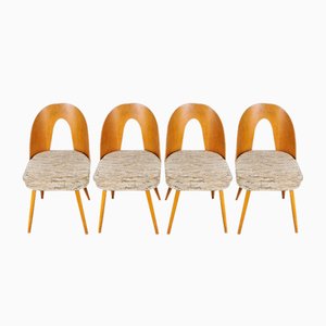 Esszimmerstühle von Antonin Suman, 1960er, 4 . Set
