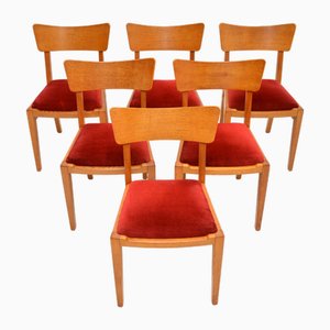 Vintage Dining Chairs in Oak from G Plan, 1950, Set of 6