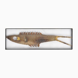 Mid-Century Brass Wall Sculpture, 1960s