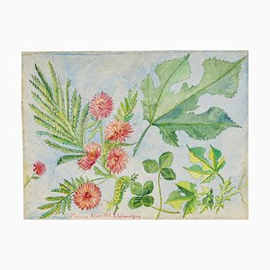 Artiste américain, Flowers, Aquarelle Recto-Verso sur Papier, 1962