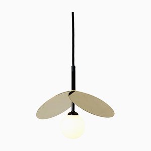 Ilios Pendant Light by Atelier Areti