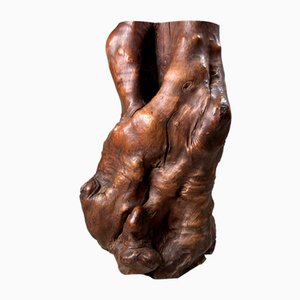 Japanese Decorative Burl Wood Tsuge, 1920s