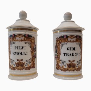 Porcelain Apothecary Albarelos, 1890s, Set of 2