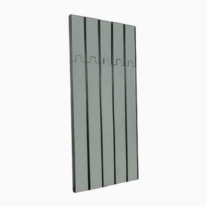 Espejo de pared y perchero Gronda modular de Luciano Bertoncini para Elco, años 70. Juego de 5