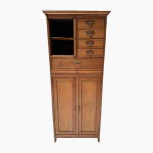 Art Nouveau Filing Cabinet or Bookcase, 1900s