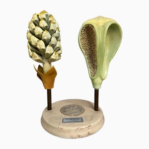 Botanical Model by Brendel