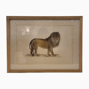 La Roche Laffitte, Lion, Painting on Silk and Handmade Paper, 1970s