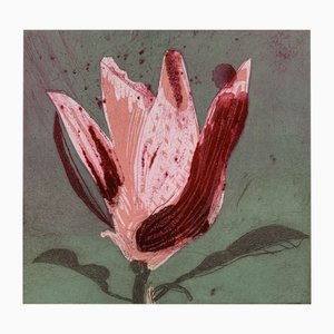 Marta Wakula, Magnolia XI, Etching on Paper, 2020
