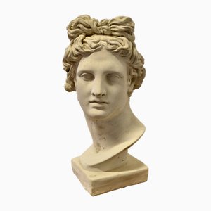 Grande busto di Apollo esposto alle intemperie, anni '60