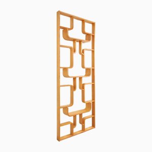 Vintage Room Divider by Ludvik Volak for Drevopodnik Holesov, 1950s