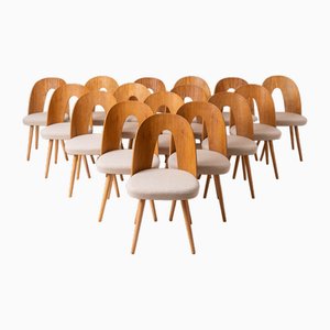 A. Suman zugeschriebene Mid-Century Esszimmerstühle, 1960er, 16 . Set