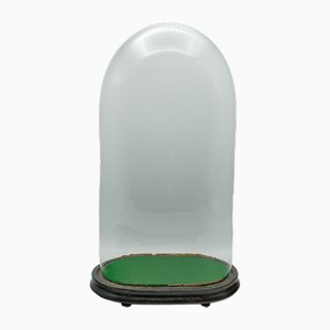 Große Englische Botanik Kuppel aus Glas, 1890er