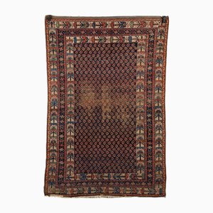 Tappeto Afshar in cotone e lana