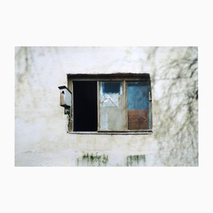 Atis Ievins, Bird House, Photograph, 1990s