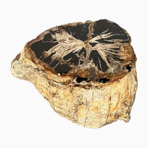 Large Side Table in Multicolored Rainbow Petrified Wood