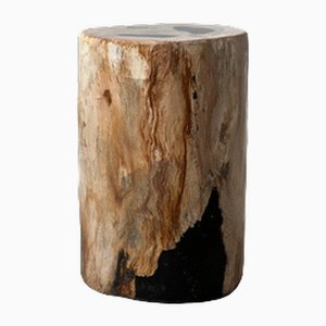 Side Table in White Petrified Wood with 2 Black Spots