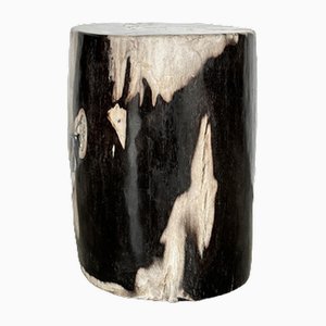 Black Side Table in Petrified Wood
