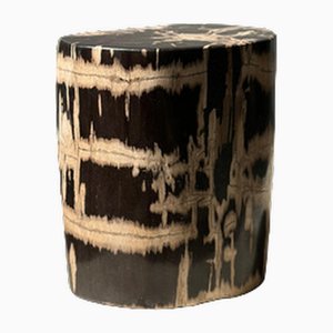 Petrified Wood Side Table