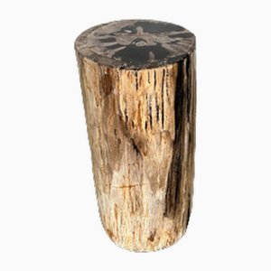 Multicolored Petrified Wood Side Table
