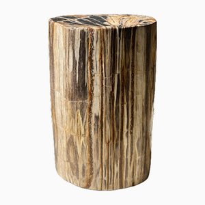 Multicolored Petrified Wood Side Table