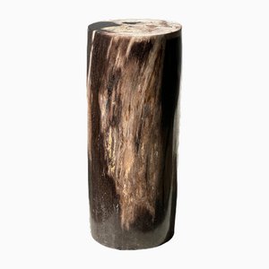 Beistelltisch aus mehrfarbigem versteinertem Holz mit weißer Tischplatte