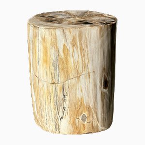 Side Table in Multicolored Petrified Wood
