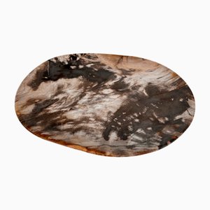 Very Large Vide-Poche or Dish in Petrified Wood