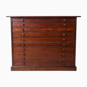 Large Filing or Drawing Cabinet, Early 20th Century