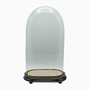 Antique English Display Dome in Glass, 1890s
