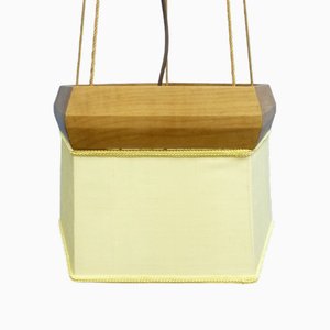 Anthroposophical Ceiling Lamp from Siegfried Pütz, 1920s