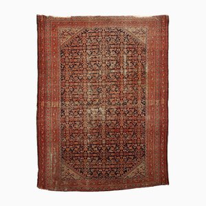 Tappeto Rug in Cotton & Wool