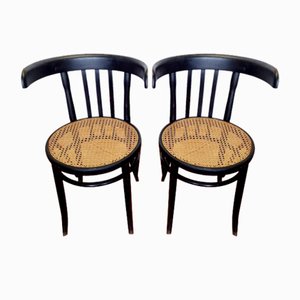 Italienische Mid-Century Stühle aus Bugholz, 1950er, 2er Set