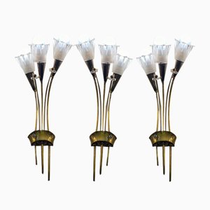 Mid-Century Tulip Wandlampen aus Messing & Glas, 1950er, 3 . Set