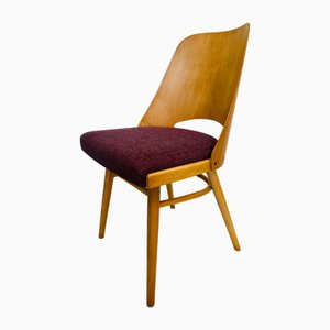 Sedia vintage di Radomir Hoffmann per Ton, Cecoslovacchia, anni '60