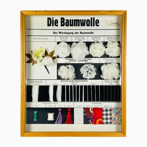 Vintage School Education Display Die Baumwolle (Cotton) by Josef Galler, Germany, 1960s