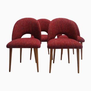 Vintage Dining Chairs by Oswald Haerdtl for Ton, 1960s, Set of 4