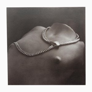Ian Sanderson, Snake, Platinum Palladium Print, 2016