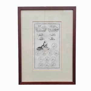 Nereid Tritons and Sea Horses, 17th-18th Century, Engraving, Framed