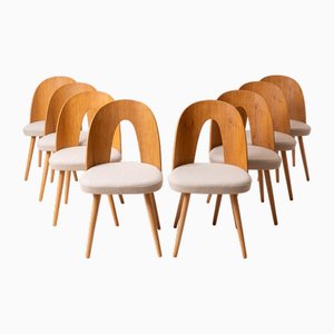 Mid-Century Dining Chairs by A. Suman, 1960s, Set of 8