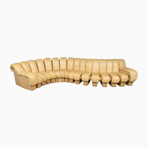 20th Century Swiss Leather DS-600 Caterpillar Sofa from de Sede, 1970, Set of 16
