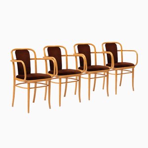 Vintage Bentwood Chairs in Brown Velvet by Ton, 1960s, Set of 4