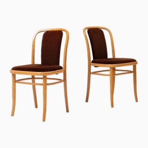 Vintage Stühle aus Bugholz in Braunem Samt von Ton, 1960er, 2er Set