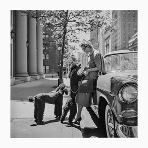 Slim Aarons, Inga Lindgren and Poodles, Estate timbrato stampa digitale