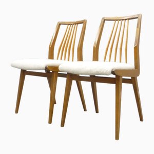 Set of Mid-Century Dining Chairs from Casala, 1963s