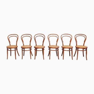 No. 14 Chairs by Josef Hofmann, 1900, Set of 6